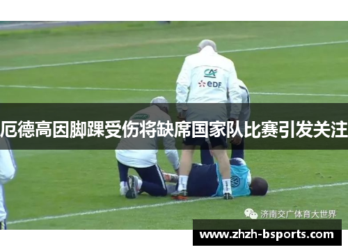 厄德高因脚踝受伤将缺席国家队比赛引发关注 厄德高因脚踝受伤将缺席国家队比赛引发关注